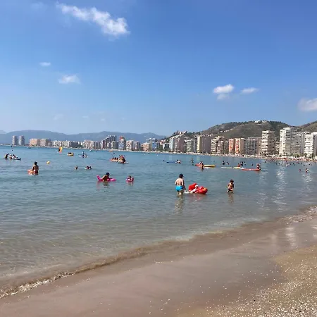 Florazar 2 Cullera