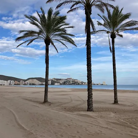 Florazar 2 Cullera