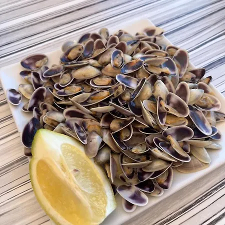 Florazar 2 * 库列拉